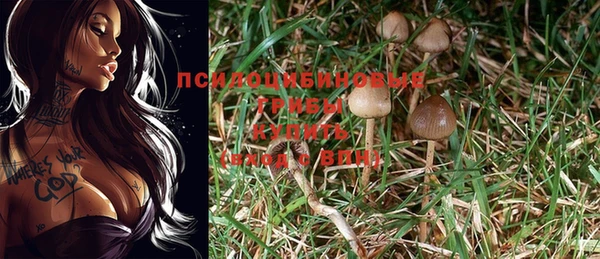 mdpv Лиски