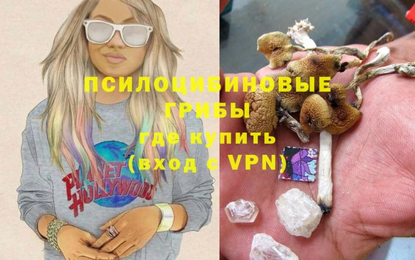 трава Лабытнанги